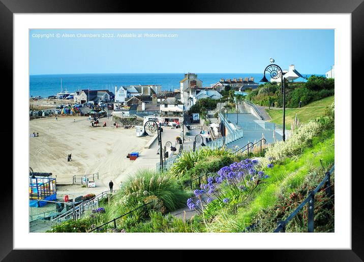 Lyme Regis  Framed Mounted Print by Alison Chambers