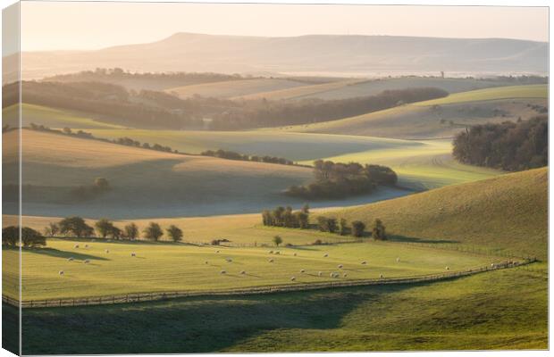 South Downs view towards Ashcombe Mill Canvas Print by Trevor Sherwin