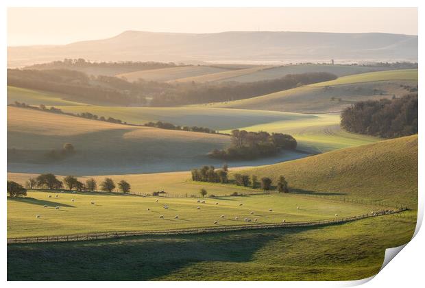 South Downs view towards Ashcombe Mill Print by Trevor Sherwin