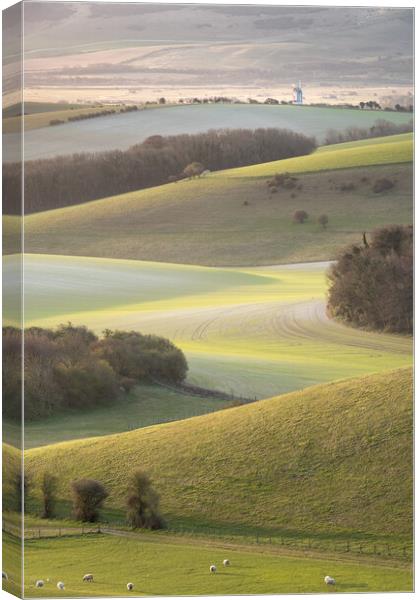 South Downs View towards Ashcombe Mill Canvas Print by Trevor Sherwin