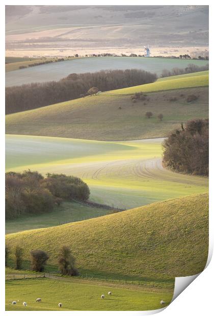 South Downs View towards Ashcombe Mill Print by Trevor Sherwin