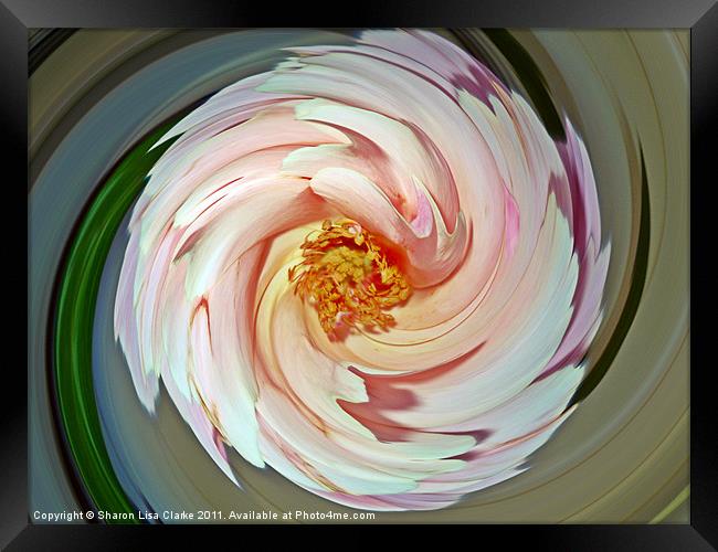 floral swirl Framed Print by Sharon Lisa Clarke