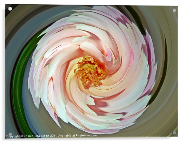 floral swirl Acrylic by Sharon Lisa Clarke