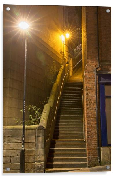 Dog Leap Stairs, Newcastle upon Tyne Acrylic by Rob Cole