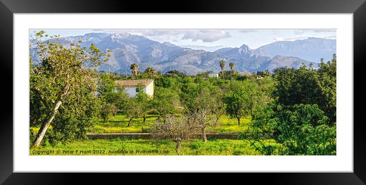 The Countryside Of Mallorca Framed Mounted Print by Peter F Hunt