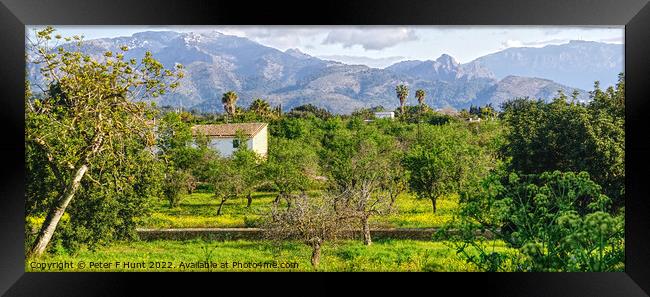 The Countryside Of Mallorca Framed Print by Peter F Hunt