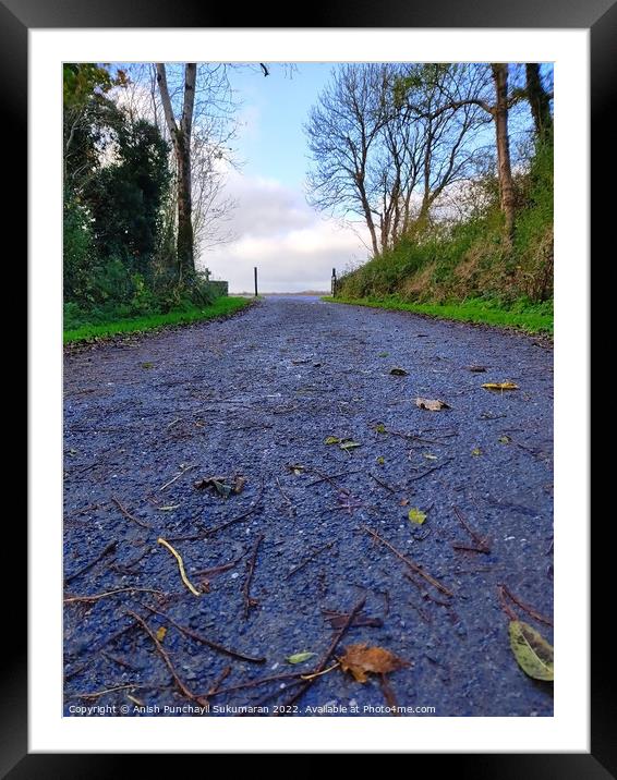an empty road in Ireland between the bushes during autumn season ,colourful trees and fallen leaves all around road Framed Mounted Print by Anish Punchayil Sukumaran
