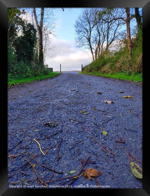 an empty road in Ireland between the bushes during autumn season ,colourful trees and fallen leaves all around road Framed Print by Anish Punchayil Sukumaran
