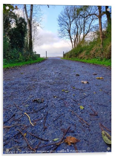 an empty road in Ireland between the bushes during autumn season ,colourful trees and fallen leaves all around road Acrylic by Anish Punchayil Sukumaran