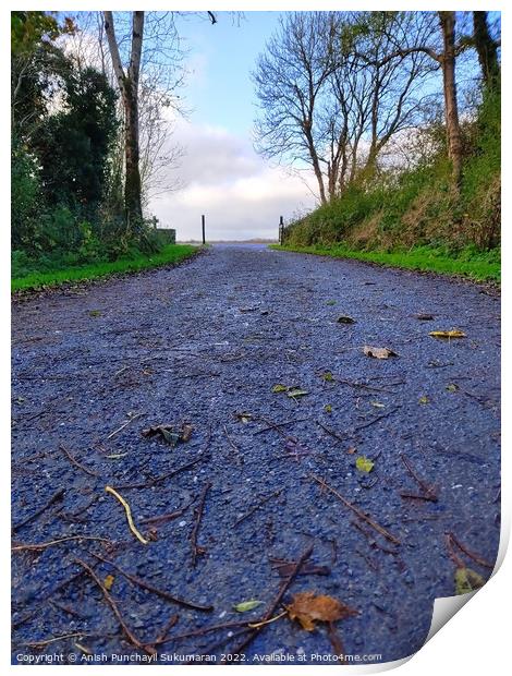 an empty road in Ireland between the bushes during autumn season ,colourful trees and fallen leaves all around road Print by Anish Punchayil Sukumaran