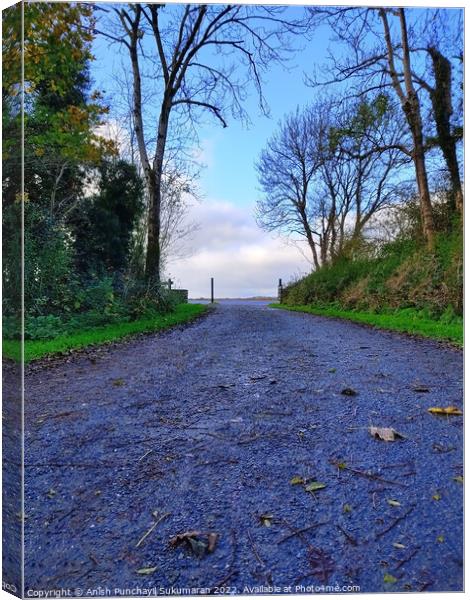 an empty road in Ireland between the bushes during Canvas Print by Anish Punchayil Sukumaran