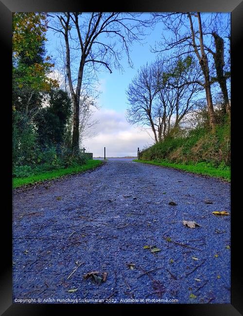 an empty road in Ireland between the bushes during Framed Print by Anish Punchayil Sukumaran