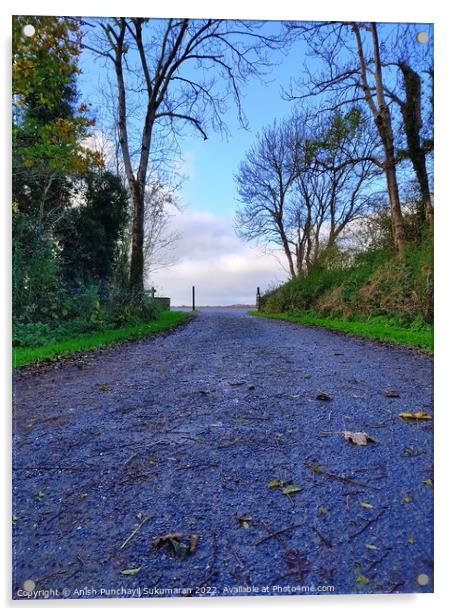an empty road in Ireland between the bushes during Acrylic by Anish Punchayil Sukumaran