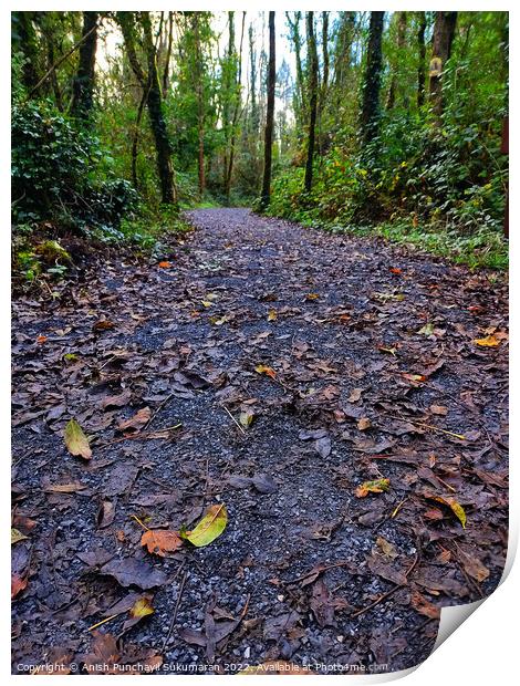 an empty road in Ireland between the bushes during autumn season ,colourful trees and fallen leaves all around road Print by Anish Punchayil Sukumaran
