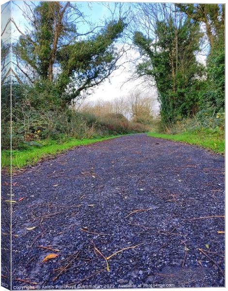 an empty road in Ireland between the bushes during autumn season ,colourful trees and fallen leaves all around road Canvas Print by Anish Punchayil Sukumaran