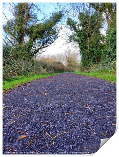 an empty road in Ireland between the bushes during autumn season ,colourful trees and fallen leaves all around road Print by Anish Punchayil Sukumaran