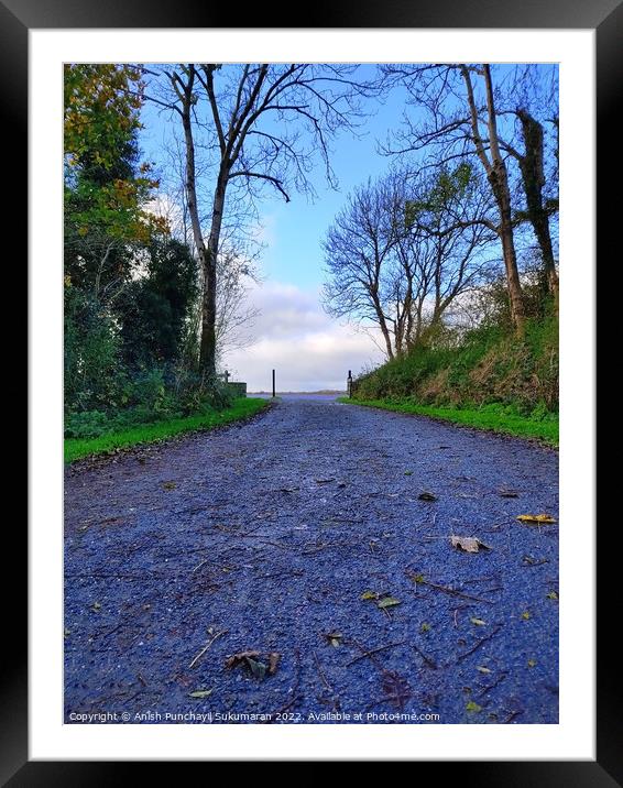 an empty road in Ireland between the bushes during autumn season ,colourful trees and fallen leaves all around road Framed Mounted Print by Anish Punchayil Sukumaran