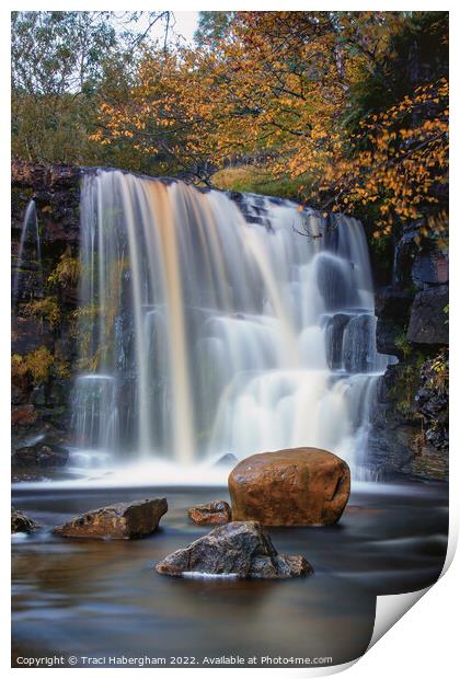 East Gill Force Print by Traci Habergham