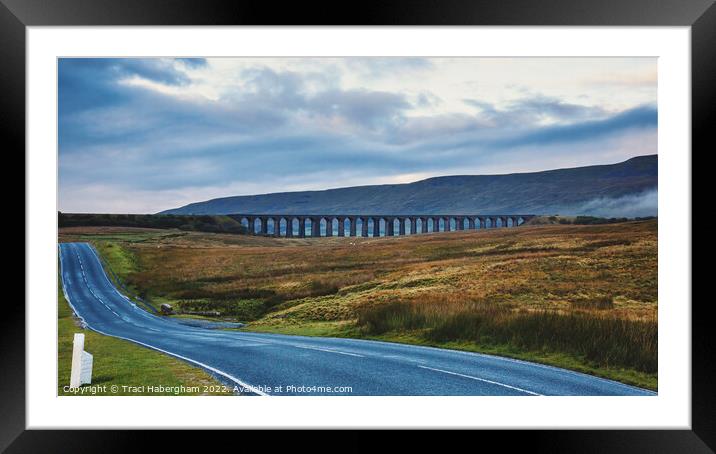Ribblehead Viaduct Framed Mounted Print by Traci Habergham