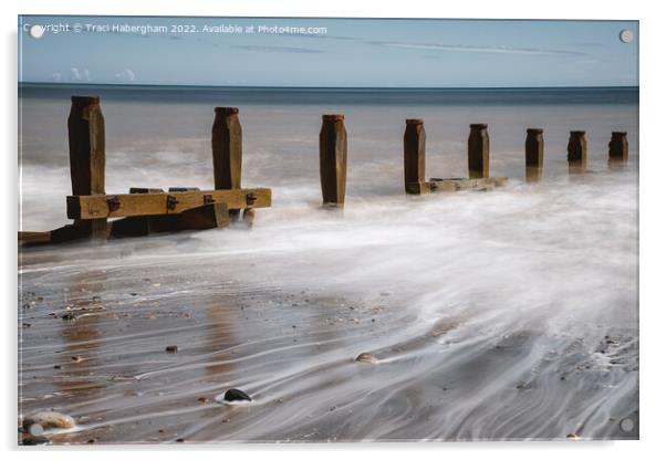 Hornsea Coastline East Yorkshire Acrylic by Traci Habergham