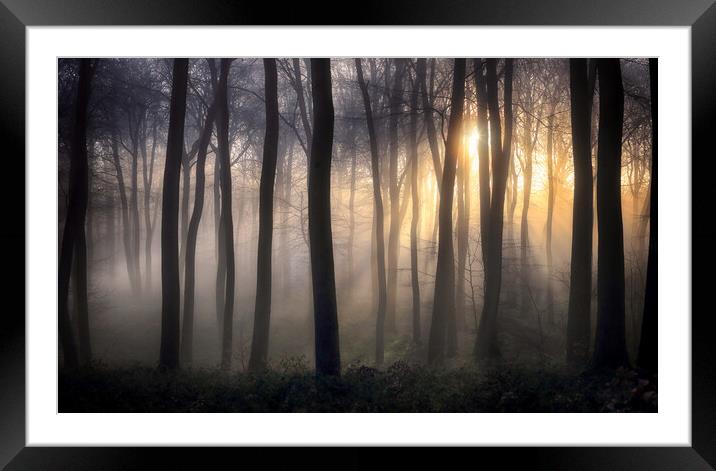 Winter Woodland Dawn Framed Mounted Print by Ceri Jones