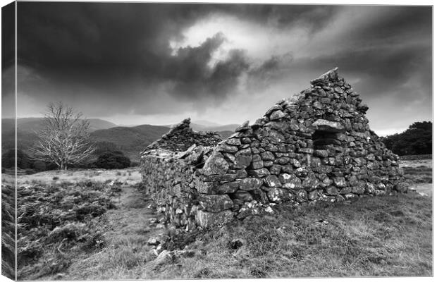 The Ruin and the Skeleton Tree Canvas Print by Dave Urwin