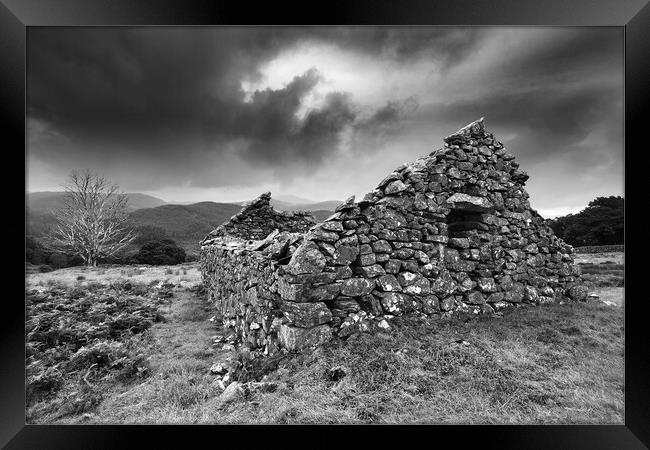 The Ruin and the Skeleton Tree Framed Print by Dave Urwin