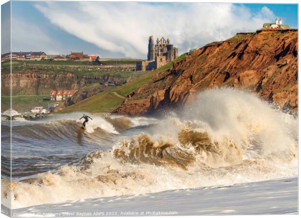Surfing at Whitby, North Yorkshire, UK. Canvas Print by Anthony David Baynes ARPS