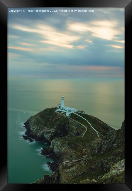 South Stack Lighthouse  Framed Print by Traci Habergham