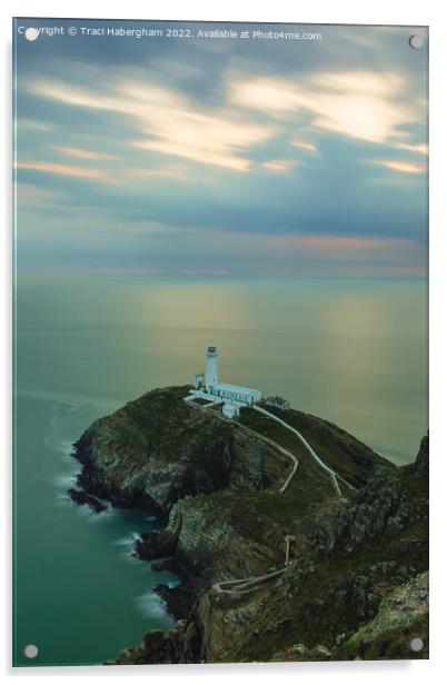 South Stack Lighthouse  Acrylic by Traci Habergham
