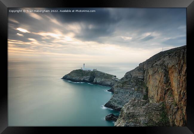 South Stack Lighthouse Framed Print by Traci Habergham