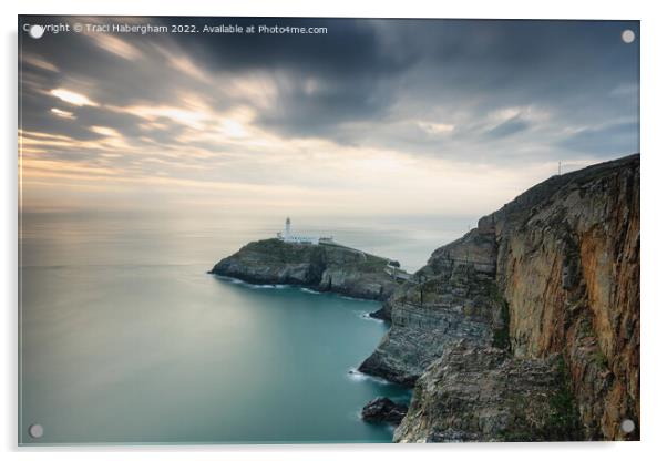South Stack Lighthouse Acrylic by Traci Habergham