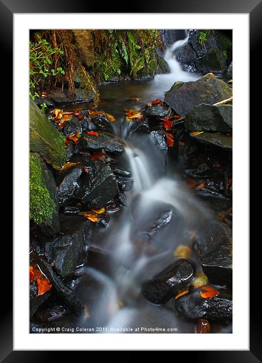 Snaking brook 2 Framed Mounted Print by Craig Coleran