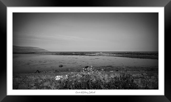 Coast of Galway, Ireland Framed Print by Ingo Menhard