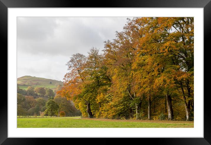 Autumn colours at Hathersage Framed Mounted Print by Jason Wells