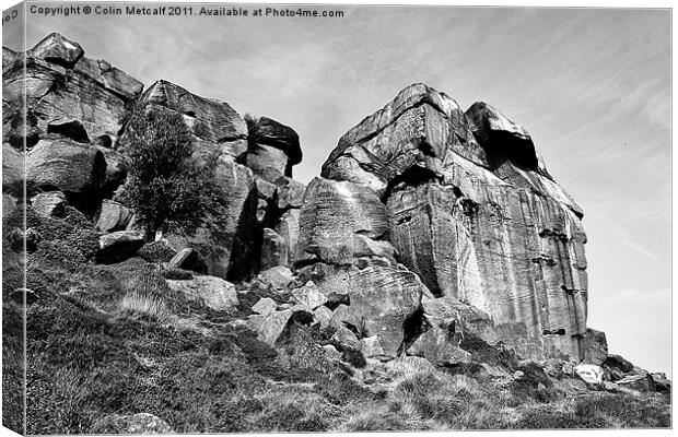 The Cow and Calf Rocks Canvas Print by Colin Metcalf