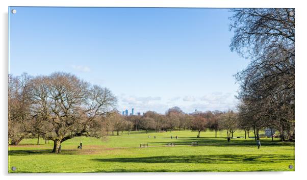 Birkenhead Park panorama Acrylic by Jason Wells