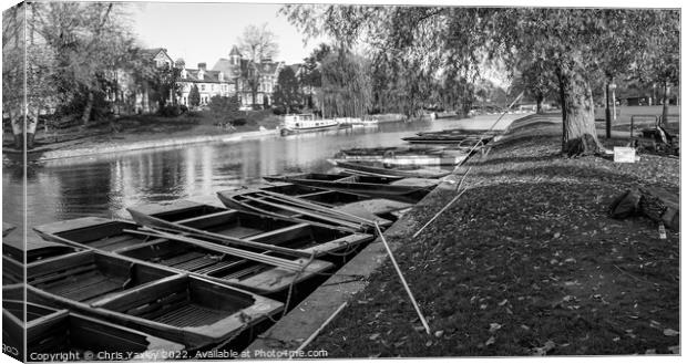 Punts moored on the River Cam in Jesus Green, Cambridge Canvas Print by Chris Yaxley