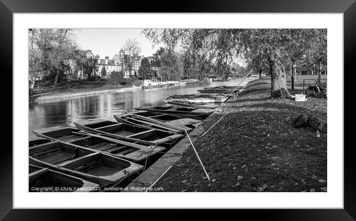 Punts moored on the River Cam in Jesus Green, Cambridge Framed Mounted Print by Chris Yaxley