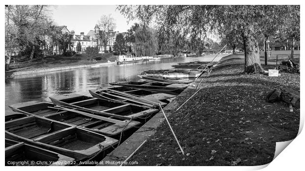 Punts moored on the River Cam in Jesus Green, Cambridge Print by Chris Yaxley