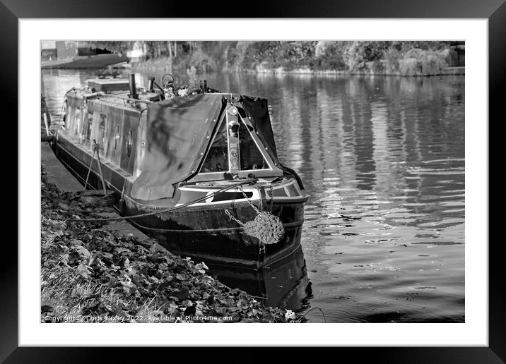 Traditional narrow boat moored on the River Cam in Jesus Green, Cambridge Framed Mounted Print by Chris Yaxley