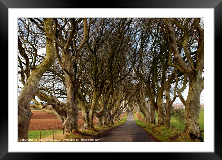 Dark hedges Northern Ireland Framed Mounted Print by Paul Clifton