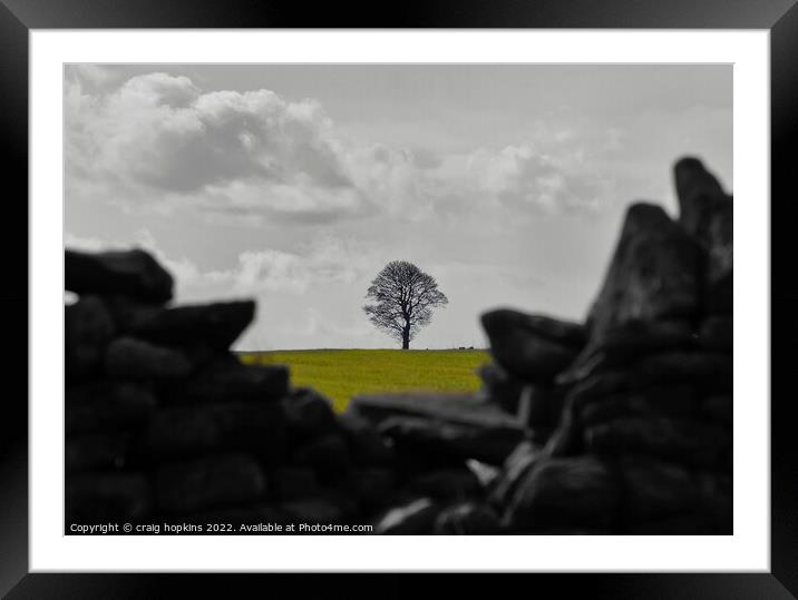 Lonely Tree Framed Mounted Print by craig hopkins