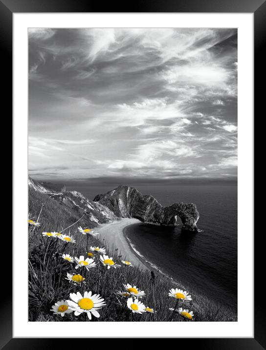 Durdle Daisies Wispy Sky Framed Mounted Print by David Neighbour
