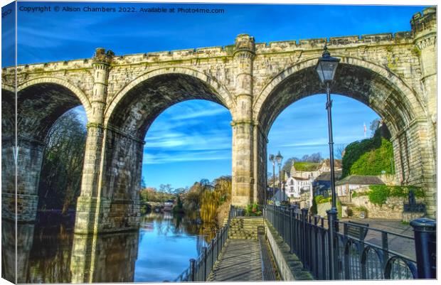 Knaresborough Viaduct Close Up, North Yorkshire  Canvas Print by Alison Chambers