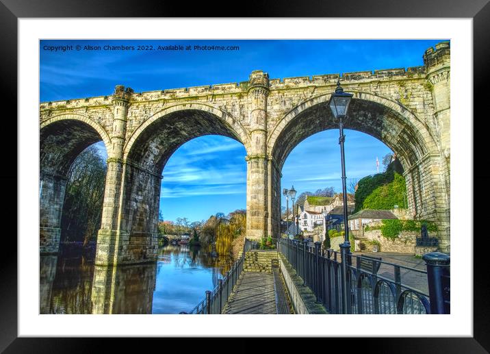 Knaresborough Viaduct Close Up, North Yorkshire  Framed Mounted Print by Alison Chambers