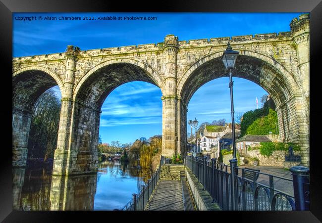 Knaresborough Viaduct Close Up, North Yorkshire  Framed Print by Alison Chambers