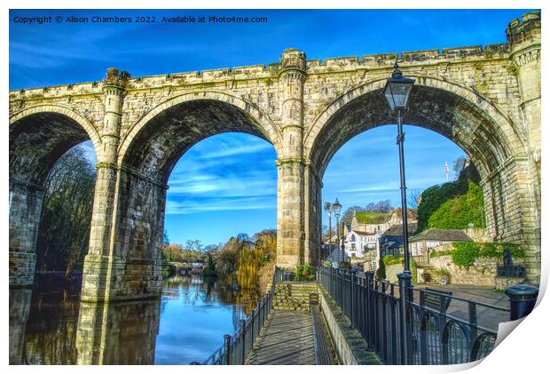 Knaresborough Viaduct Close Up, North Yorkshire  Print by Alison Chambers