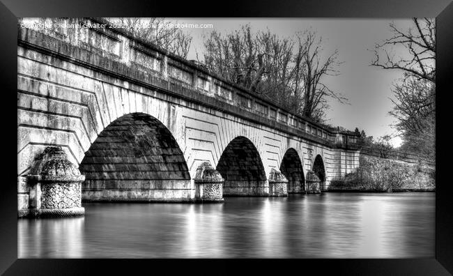 Black and White - Chertsey Bridge Framed Print by Daniel Gwalter