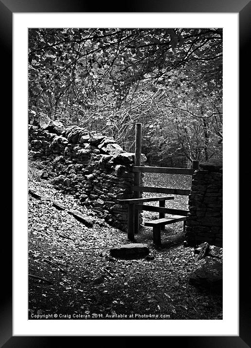 Stile in the woods Framed Mounted Print by Craig Coleran